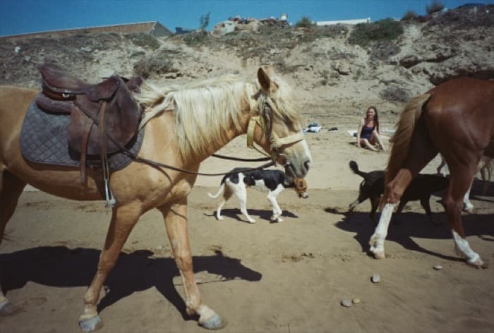 Taghazout life moment 13